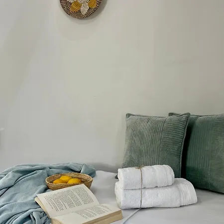 House בית הארחה העיירה סקיאתוס