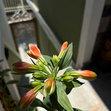 Guest house House 3*