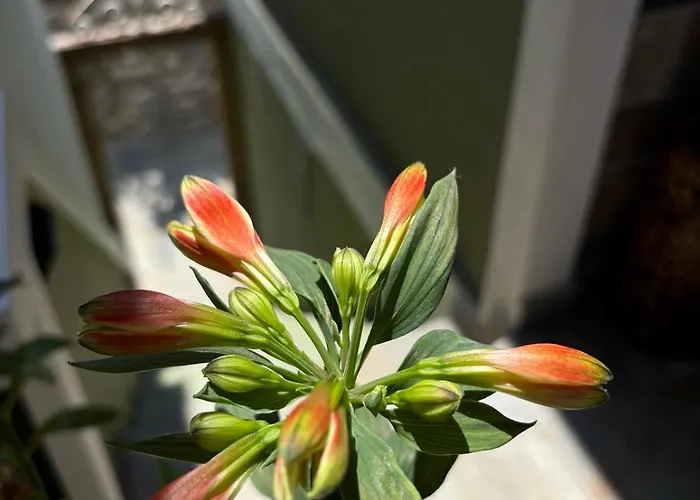 Guest house House 3*